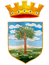 comune-di-deliceto